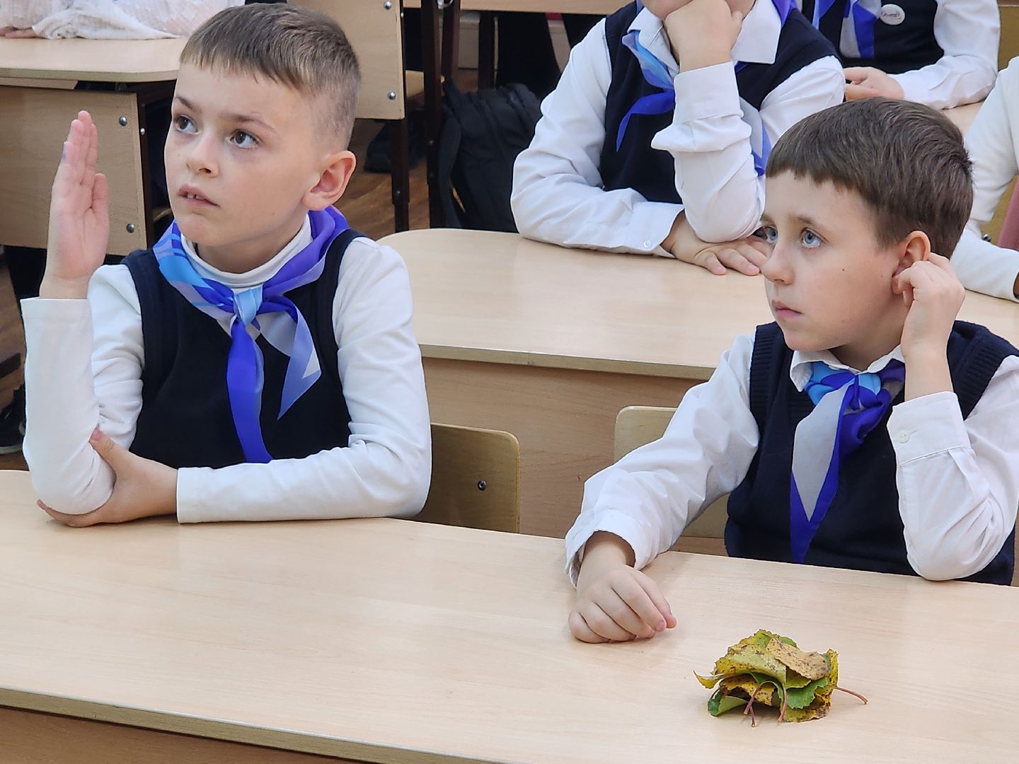 сергиев посад, сергиево-посадский городской округ, краснозаводск, краснозаводская школа 1, школьное лесничество, профориентационный урок, лесники, лесничий,