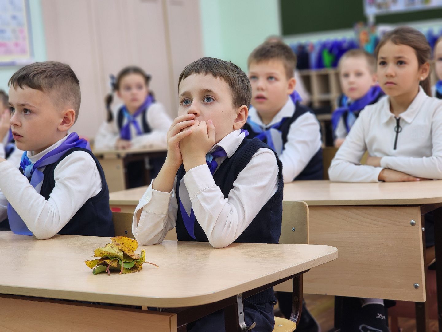 сергиев посад, сергиево-посадский городской округ, краснозаводск, краснозаводская школа 1, школьное лесничество, профориентационный урок, лесники, лесничий,