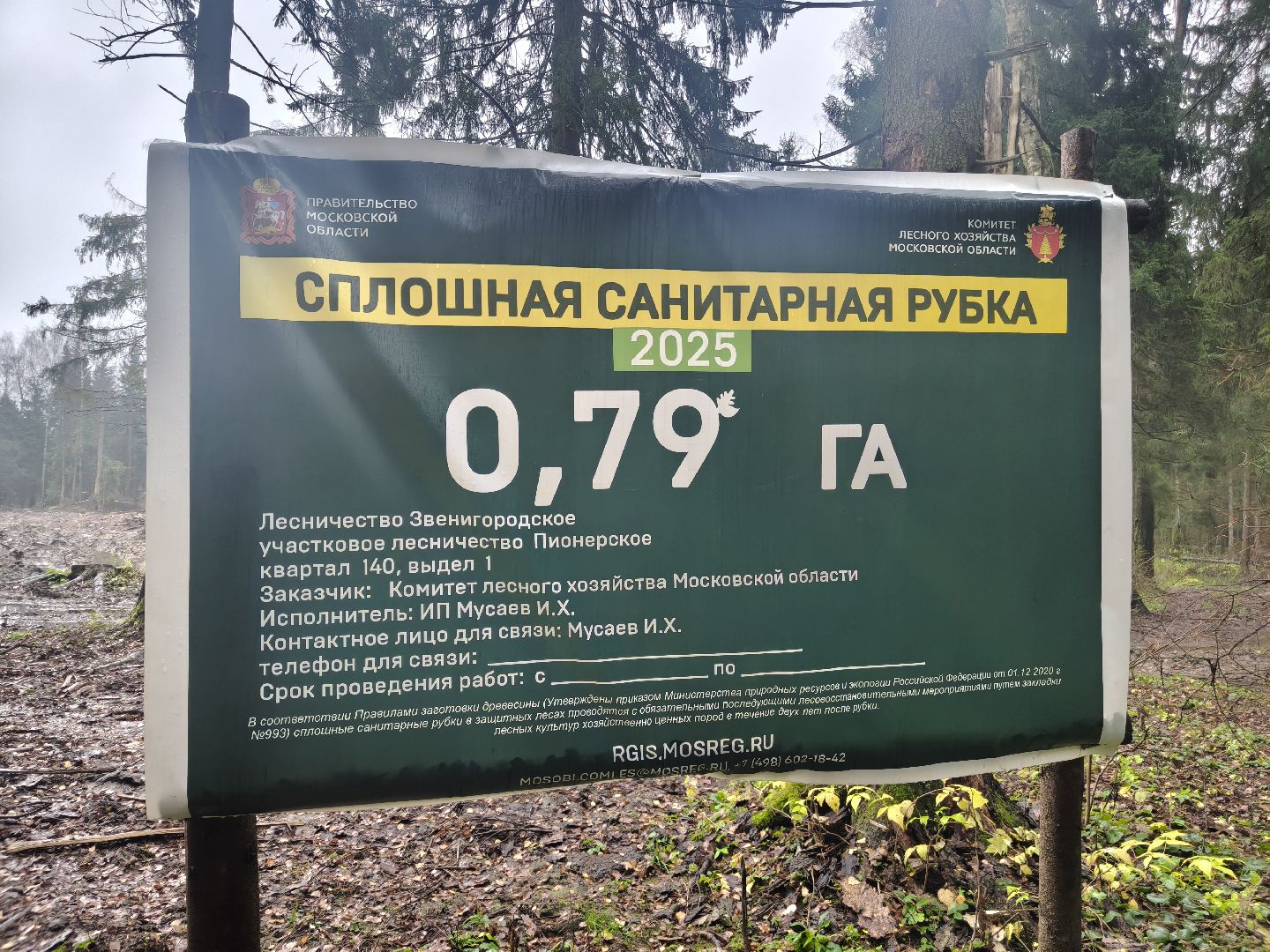 одинцовский городской округ, звенигородское лесничество, санитарная вырубка, мособллес,