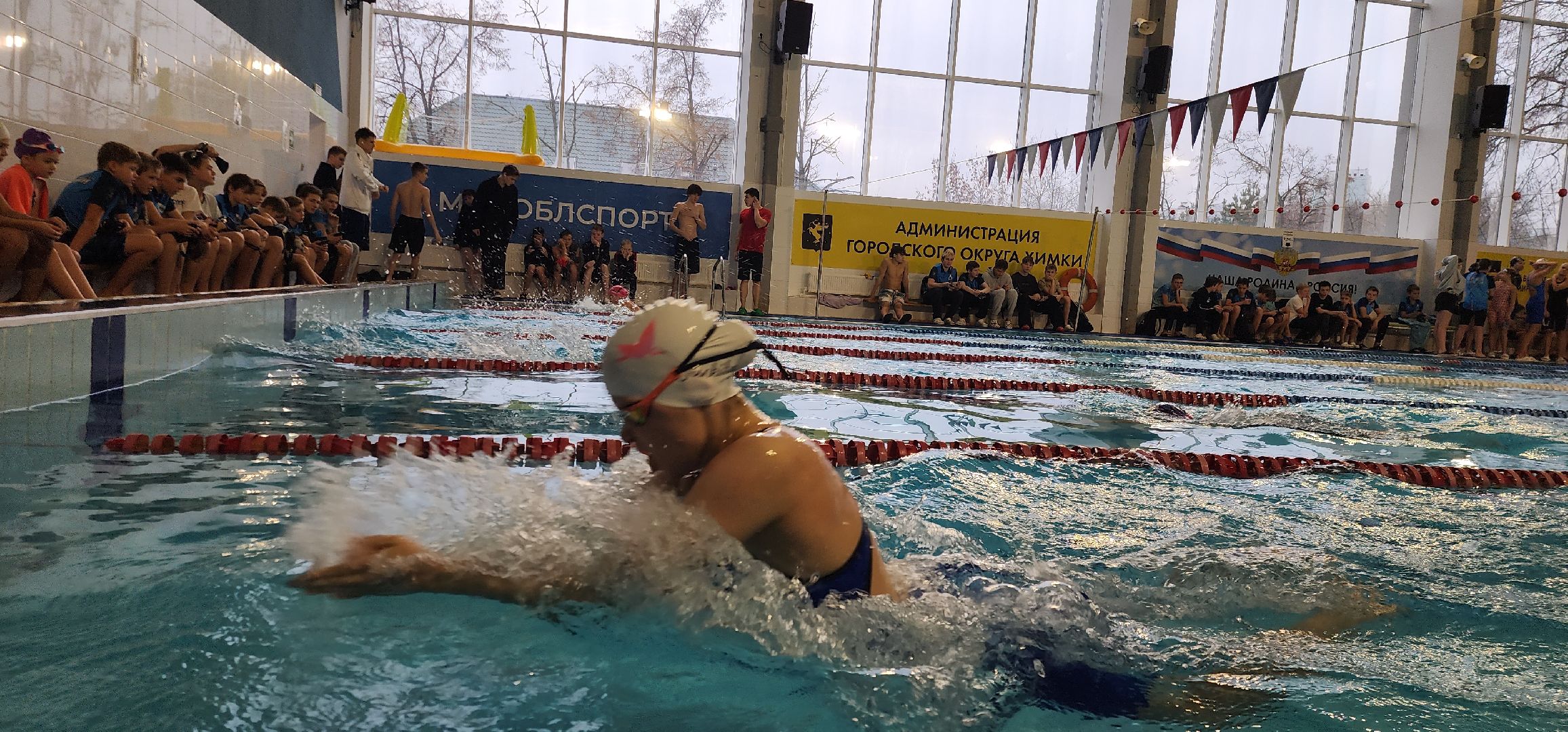 Химки, спорт, плавание, здоровый образ жизни,