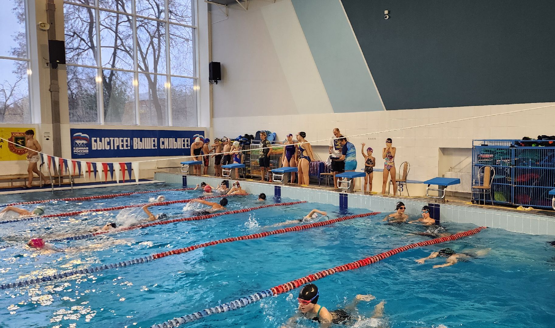 Химки, спорт, плавание, здоровый образ жизни,