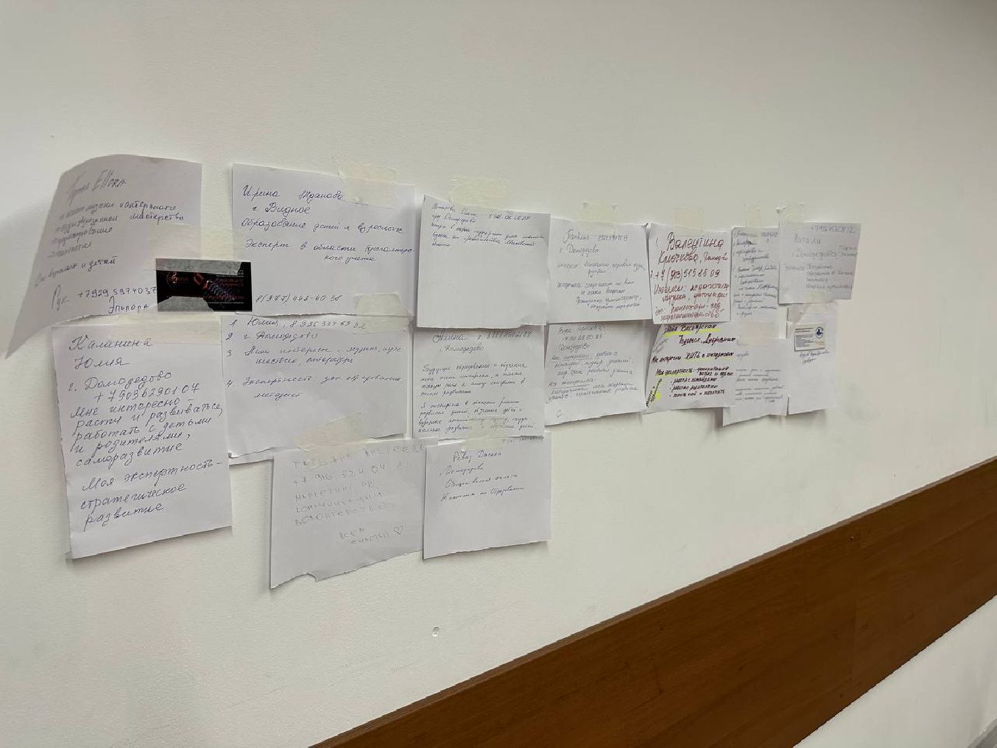 образование, домодедово, конференция,