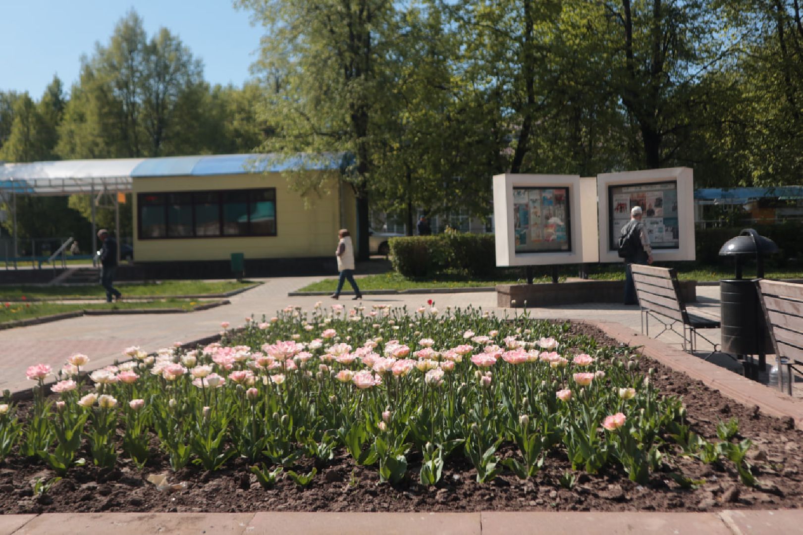 Пущино, благоустройство, цветники