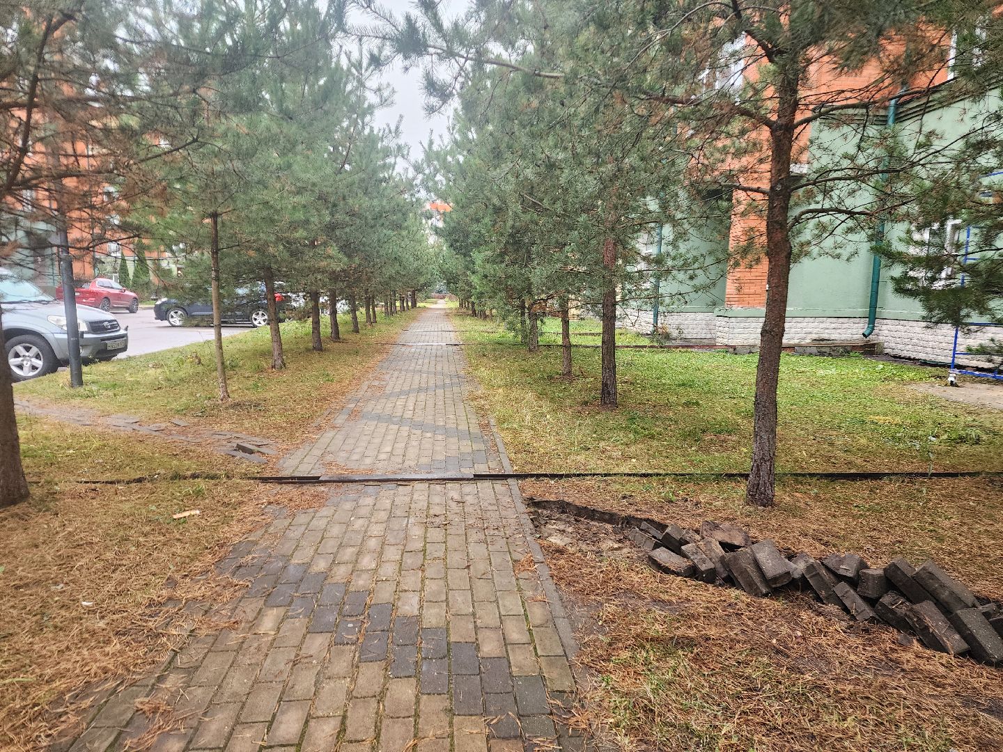 фрязино, народная тропа, асфальтирование тротуаров, благоустройство,