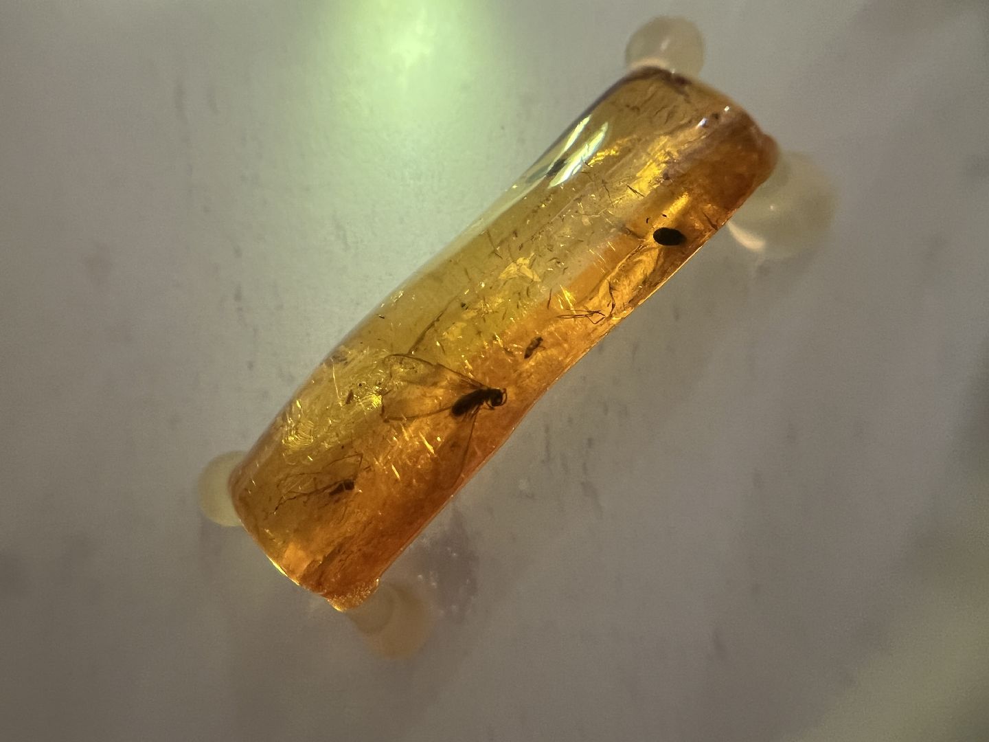 выставка доисторические насекомые в янтаре открыта в балашихе, балашиха, балашихинский историко-краеведческий музей,