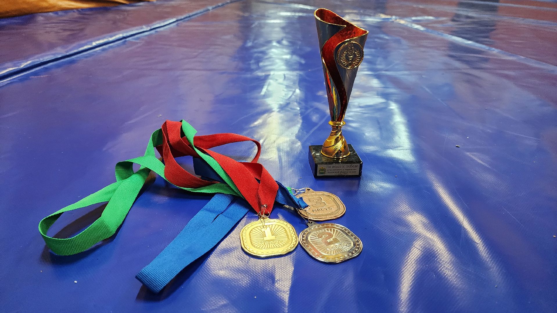 победители, гюрза, самооборона, протвино,