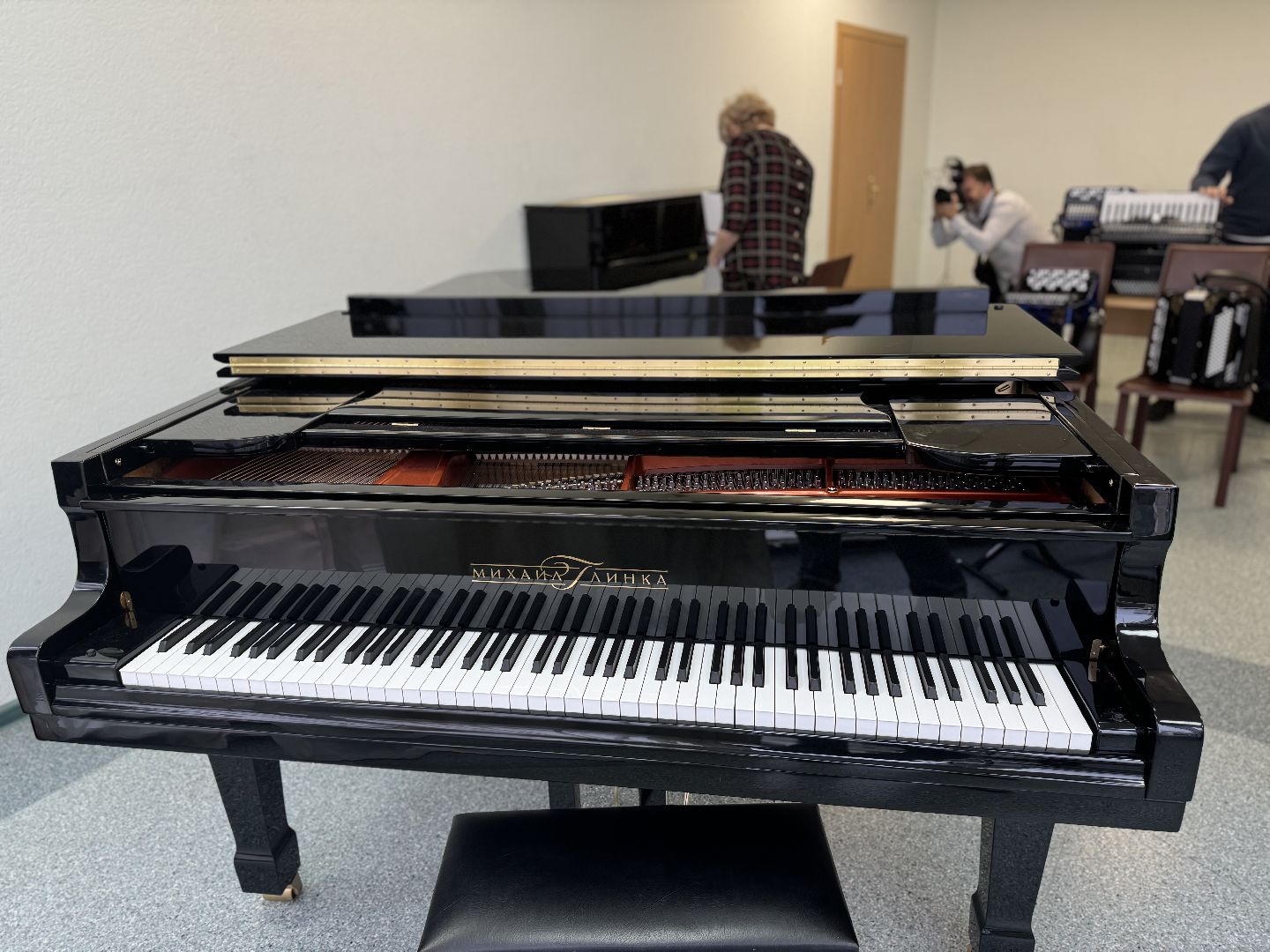 музыкальные инструменты, ленинский городской округ, детская школа искусств,