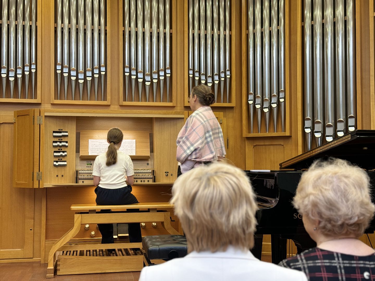 музыкальные инструменты, ленинский городской округ, детская школа искусств,