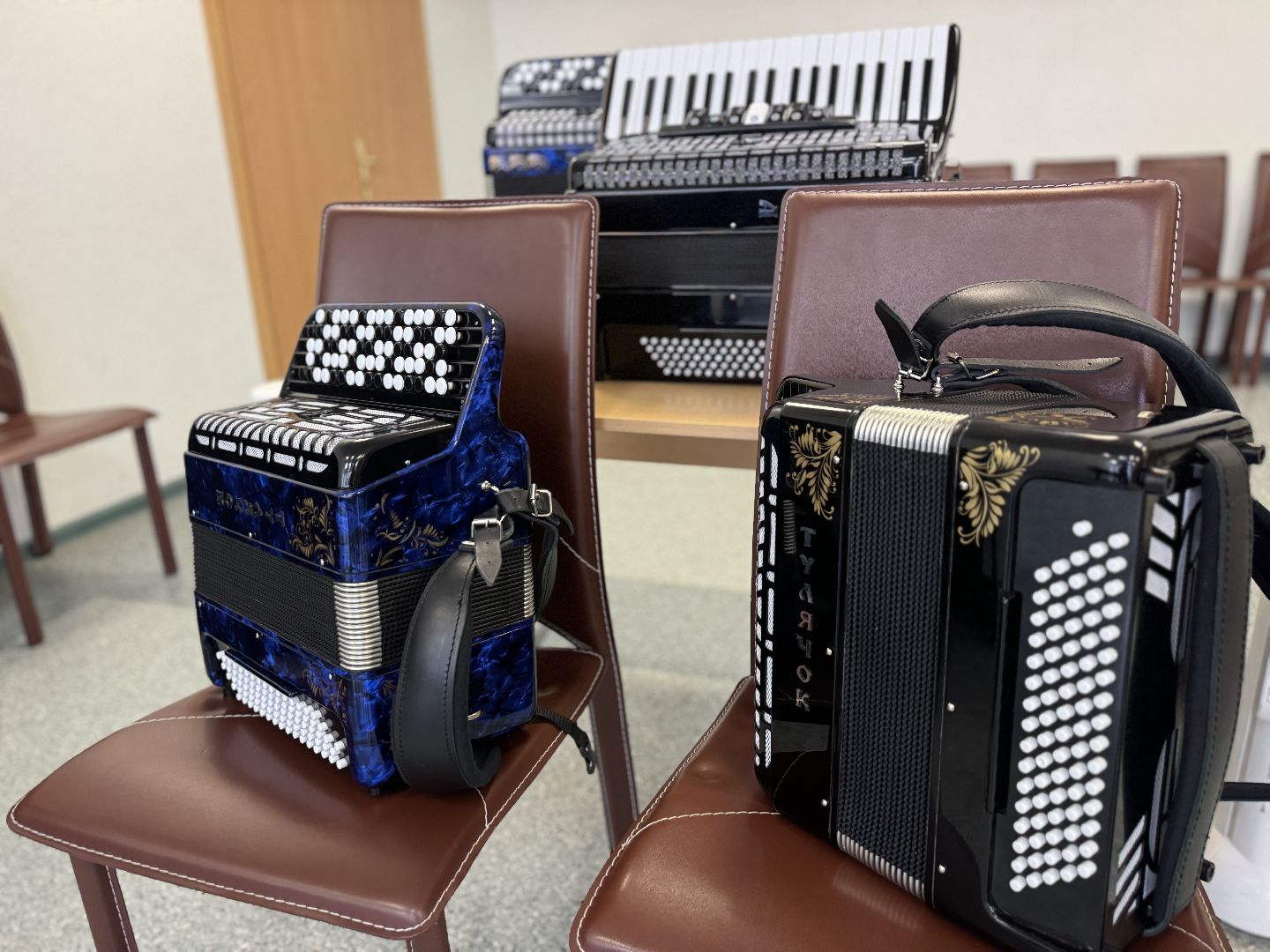 музыкальные инструменты, ленинский городской округ, детская школа искусств,