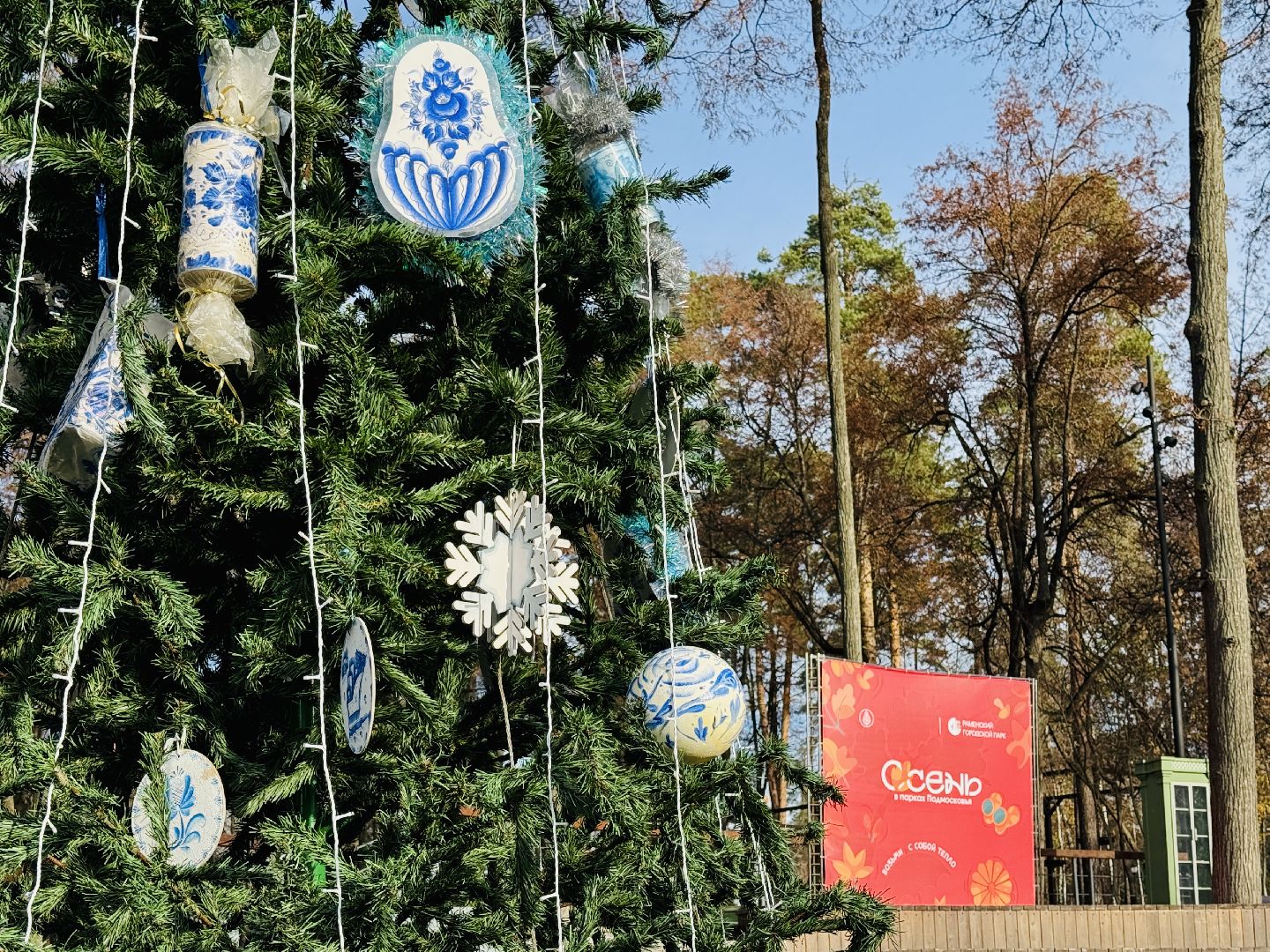 Раменское, раменский городской парк, новогодние елки, зима в подмосковье, Зима в Подмосковье 2025,