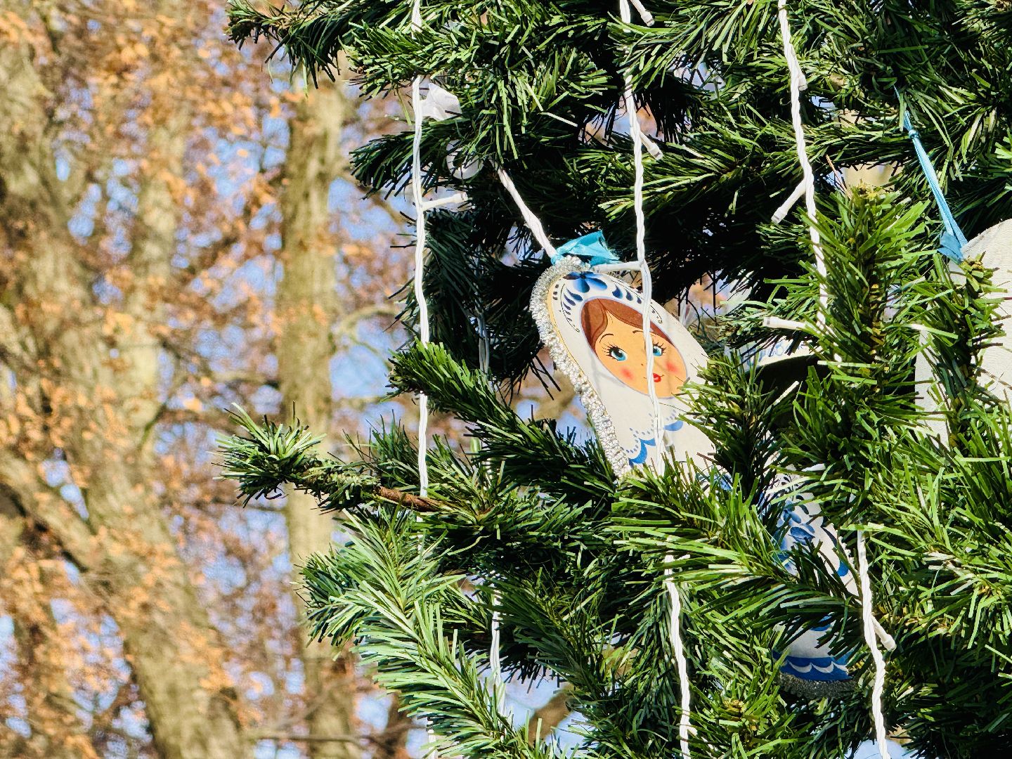 Раменское, раменский городской парк, новогодние елки, зима в подмосковье, Зима в Подмосковье 2025,
