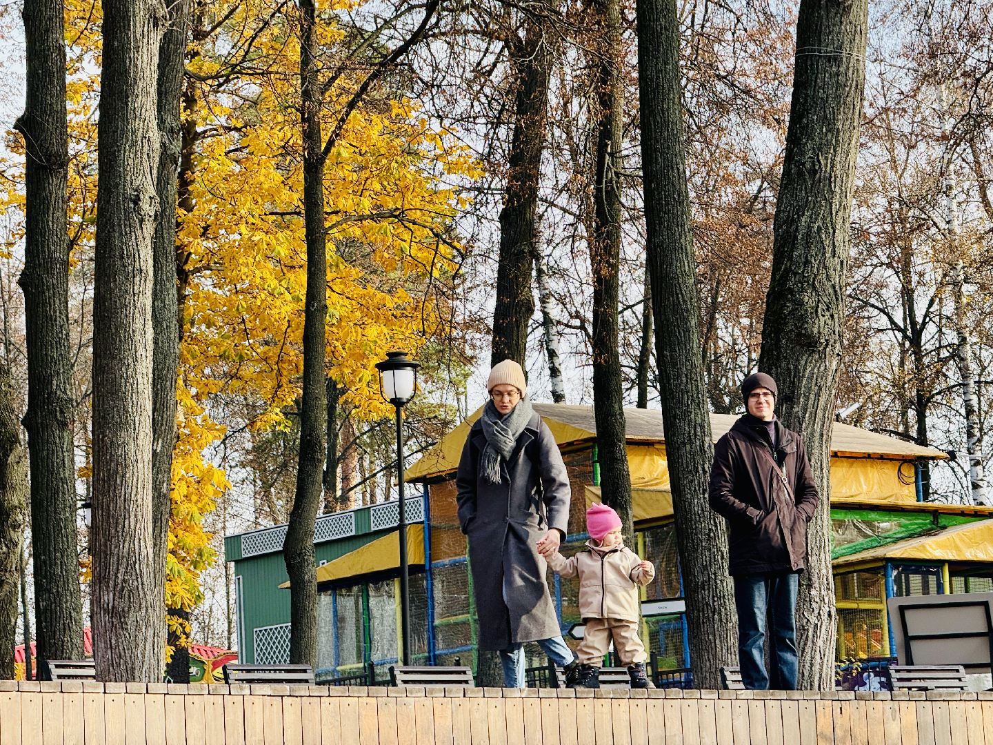 Раменское, раменский городской парк, новогодние елки, зима в подмосковье, Зима в Подмосковье 2025,