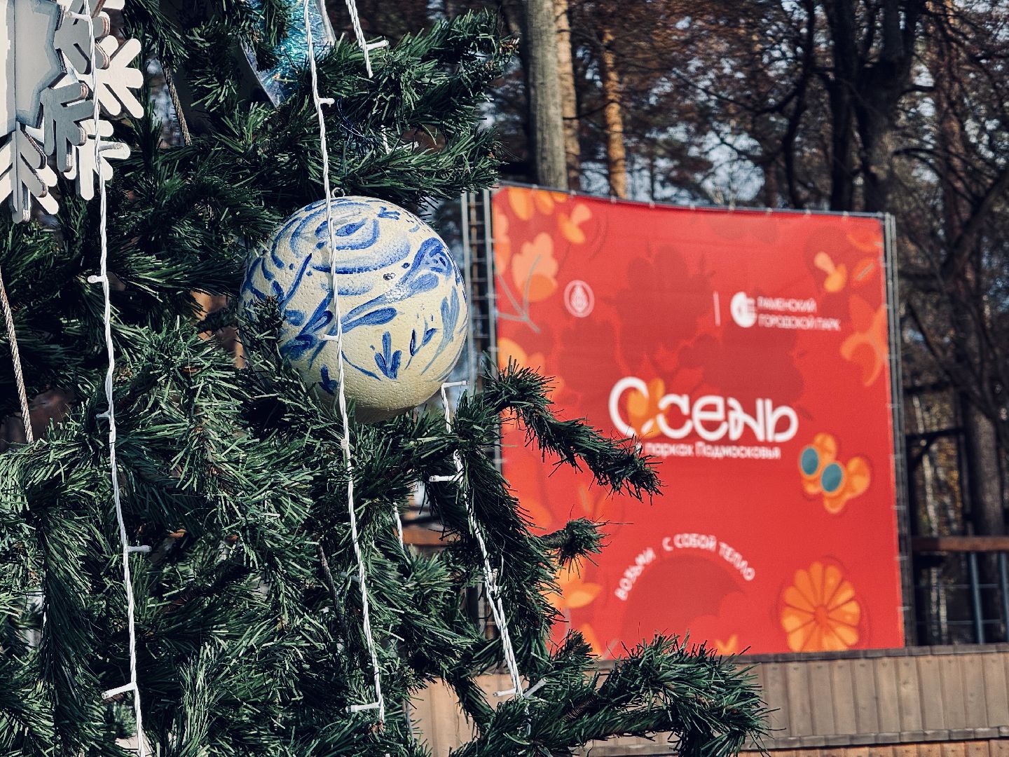 Раменское, раменский городской парк, новогодние елки, зима в подмосковье, Зима в Подмосковье 2025,