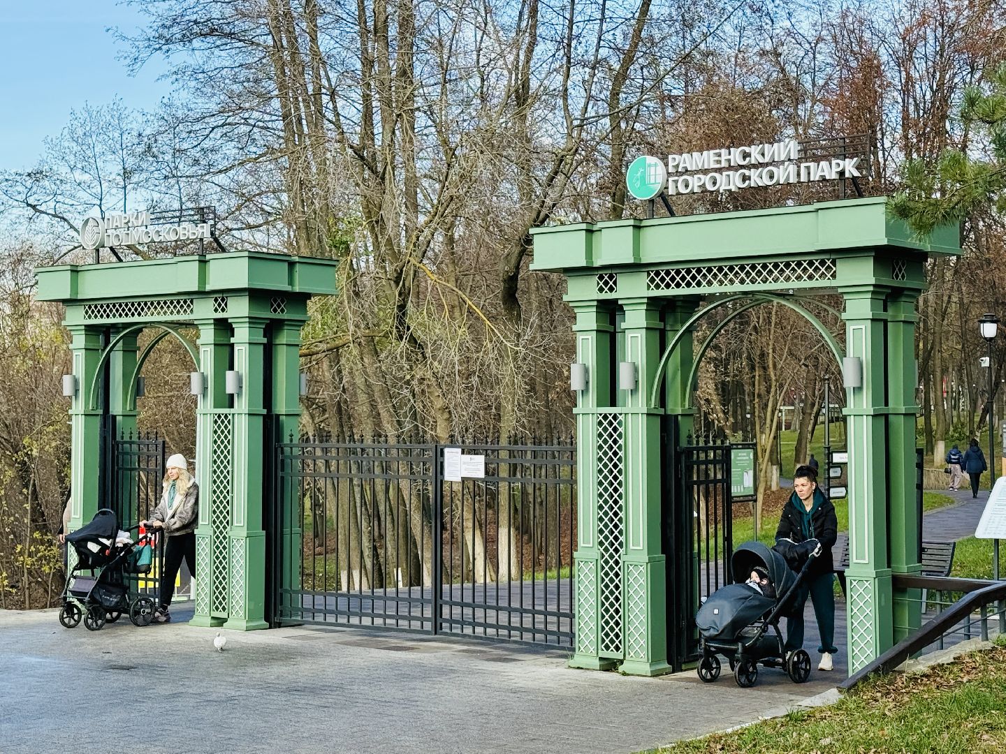 Раменское, раменский городской парк, новогодние елки, зима в подмосковье, Зима в Подмосковье 2025,