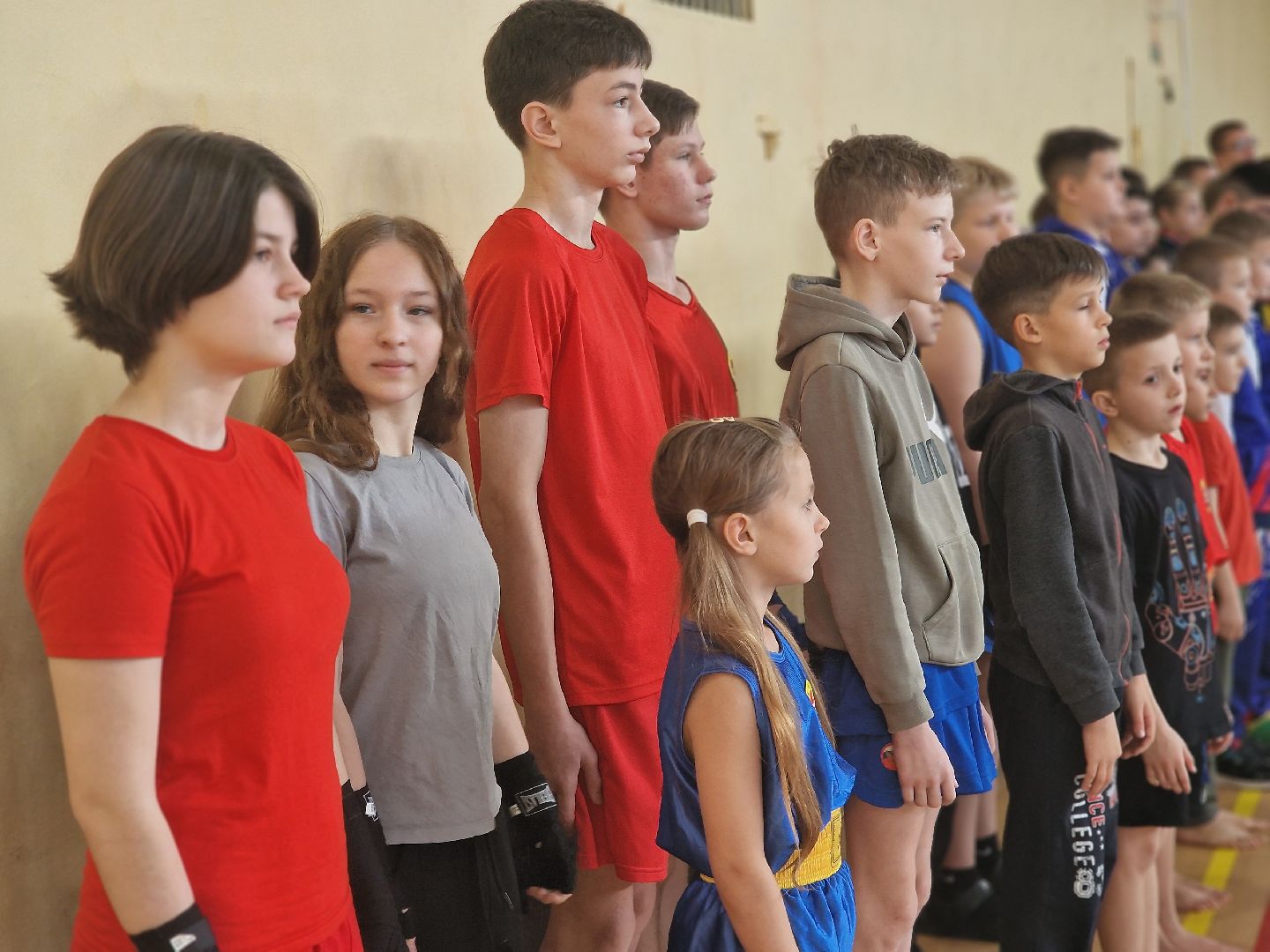 воскресенск, ушу-саньда, кубок химика,