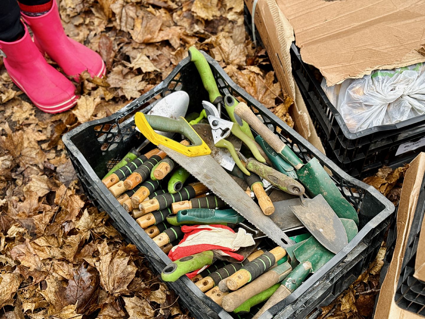 раменское, усадьба быково, тюльпановый остров, savebykovo,