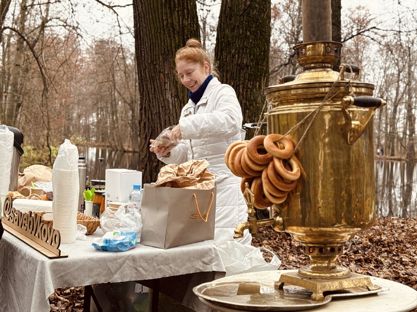 раменское, усадьба быково, тюльпановый остров, savebykovo,