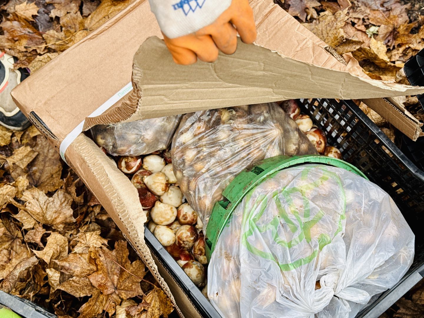 раменское, усадьба быково, тюльпановый остров, savebykovo,