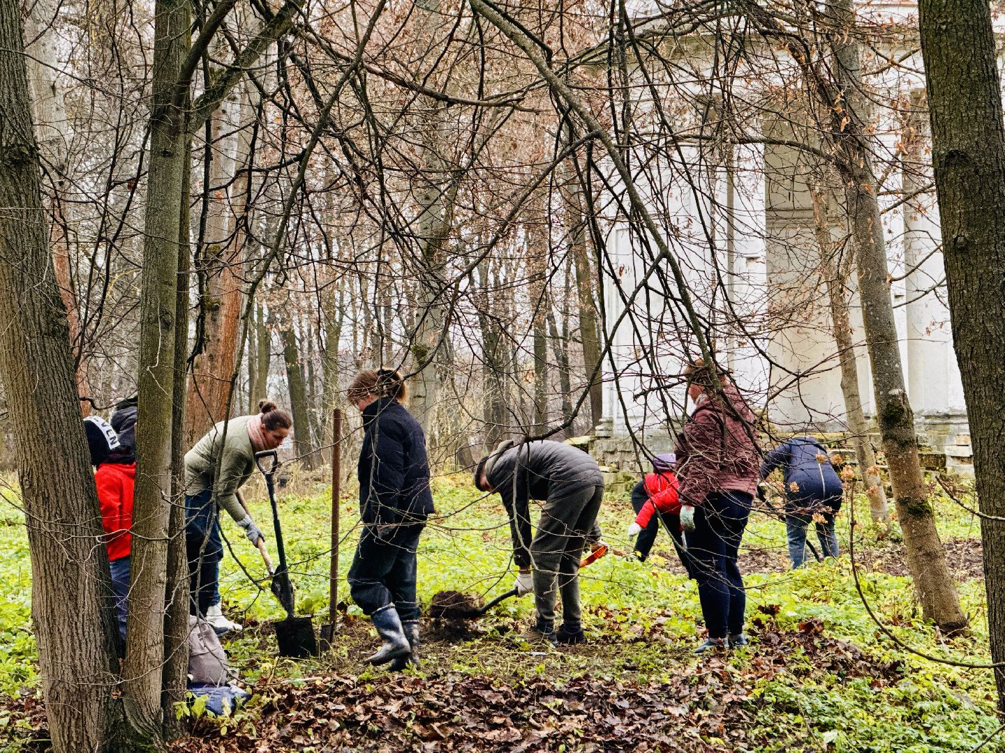 раменское, усадьба быково, тюльпановый остров, savebykovo,