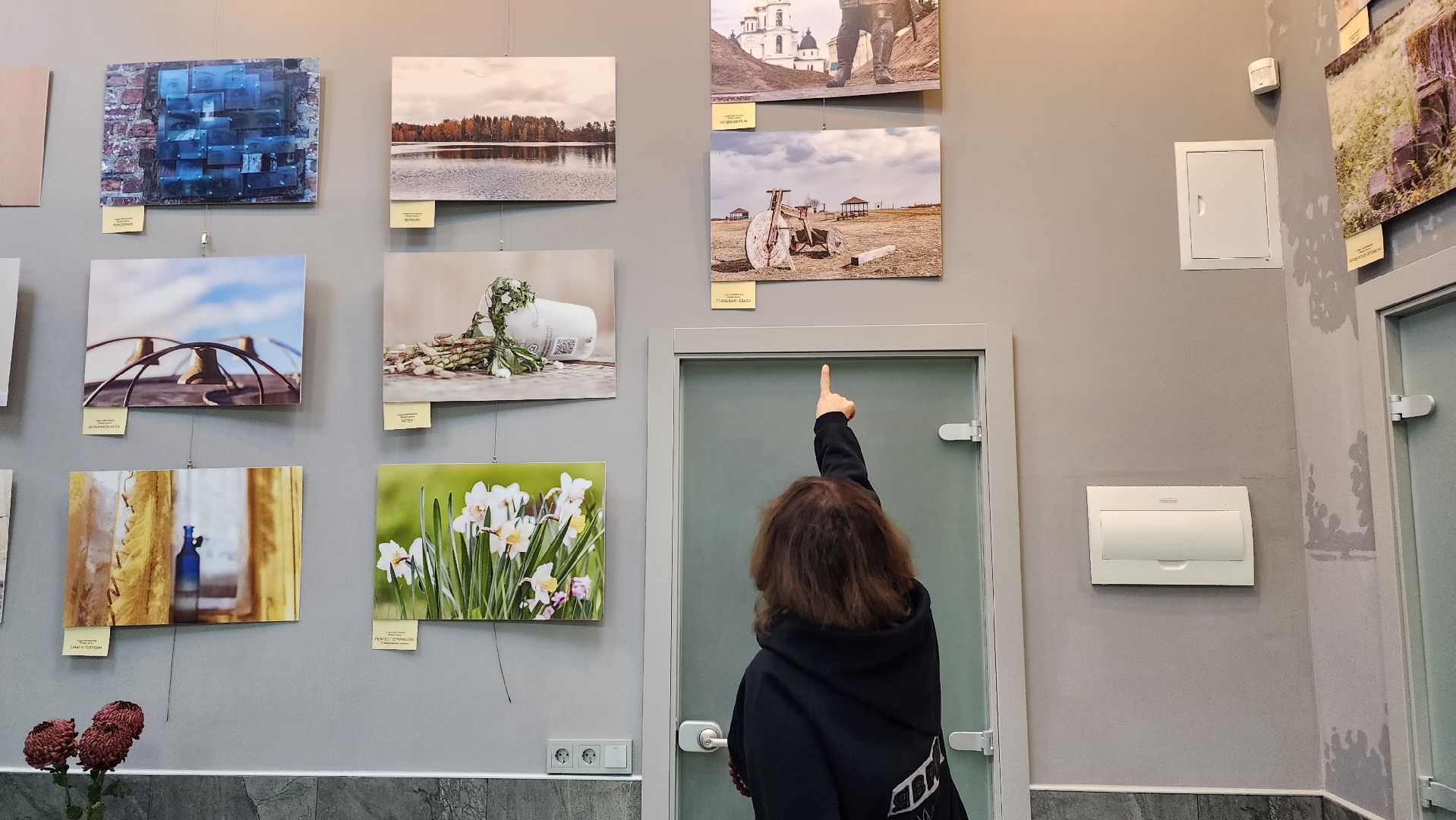 истра, библиотека, вернисаж,