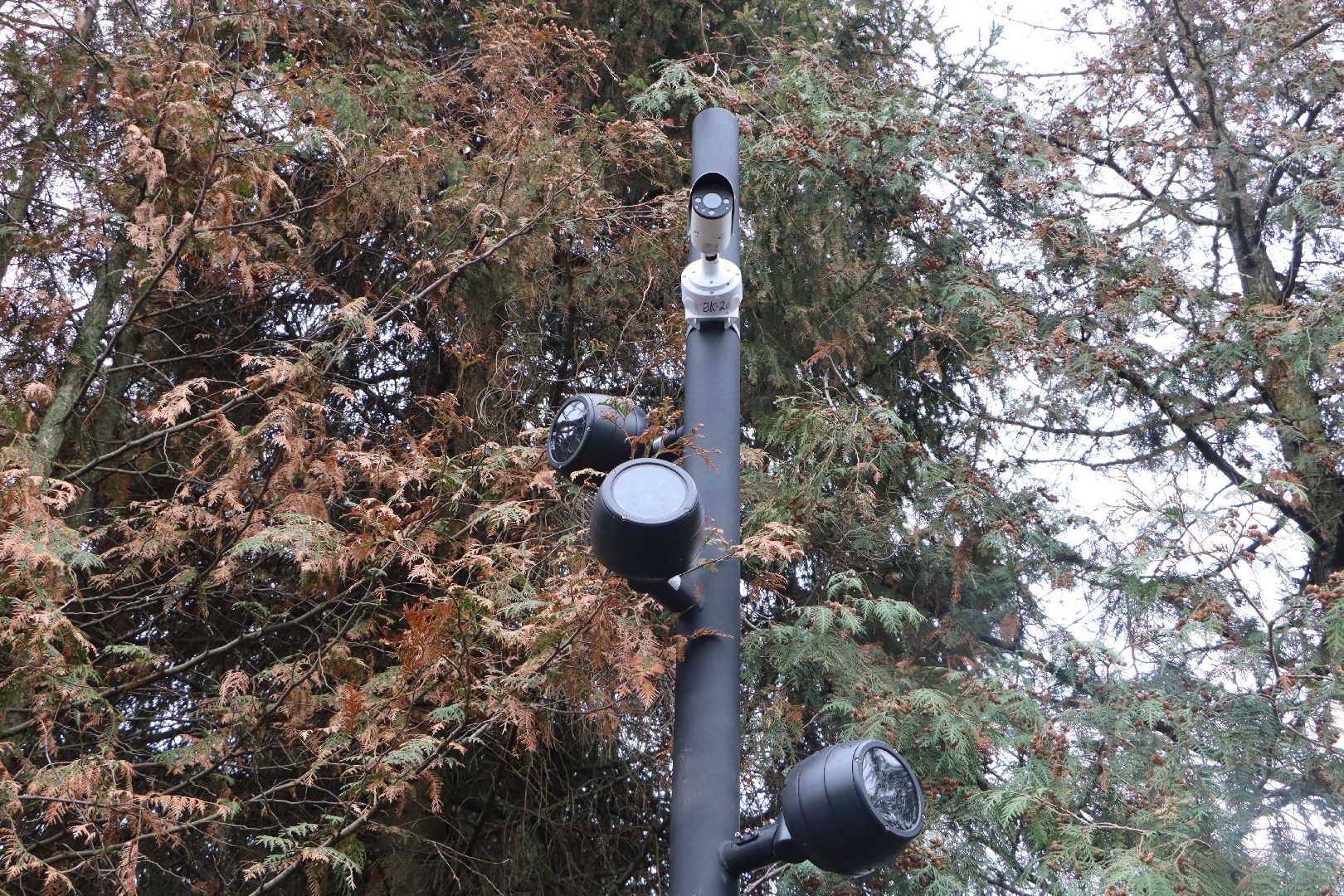 серебряные пруды, шеметово, благоустройство,