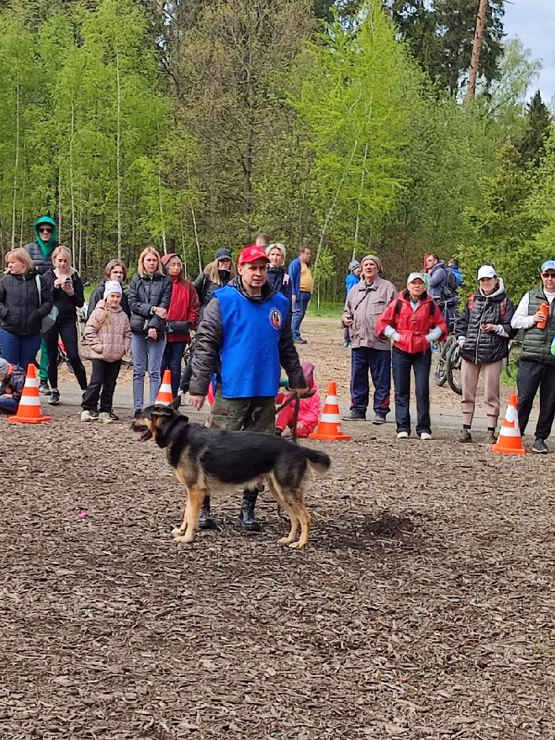 9 мая, Мытищи, День Победы, Юнармия, кинологи