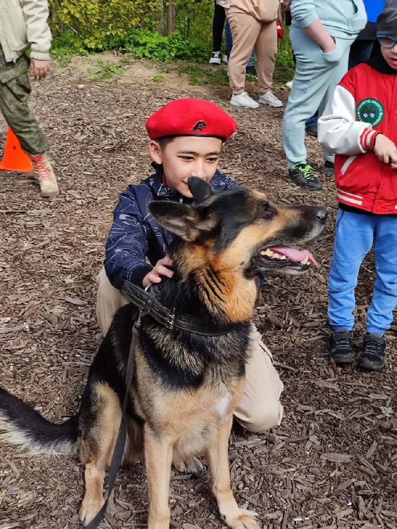 9 мая, Мытищи, День Победы, Юнармия, кинологи