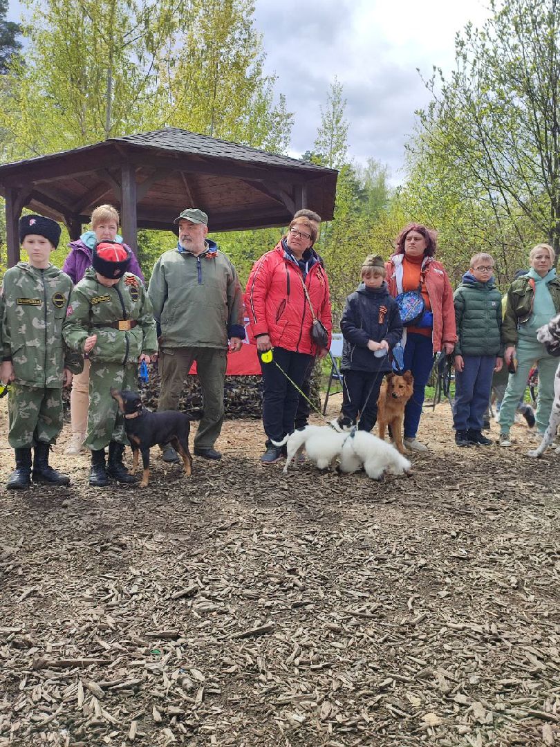 9 мая, Мытищи, День Победы, Юнармия, кинологи
