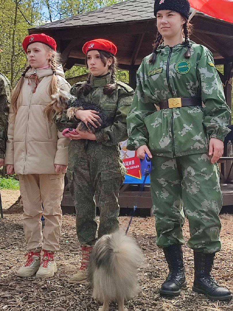 9 мая, Мытищи, День Победы, Юнармия, кинологи