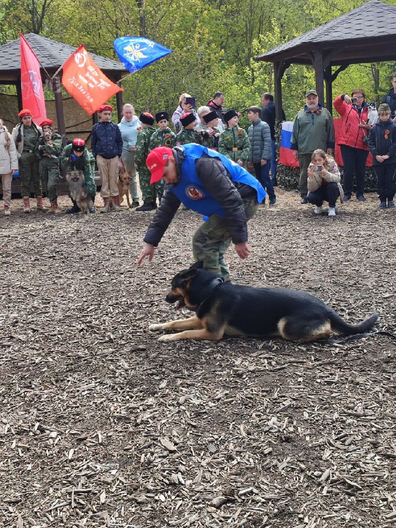 9 мая, Мытищи, День Победы, Юнармия, кинологи