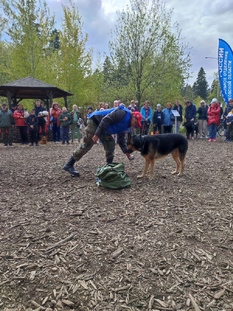 9 мая, Мытищи, День Победы, Юнармия, кинологи