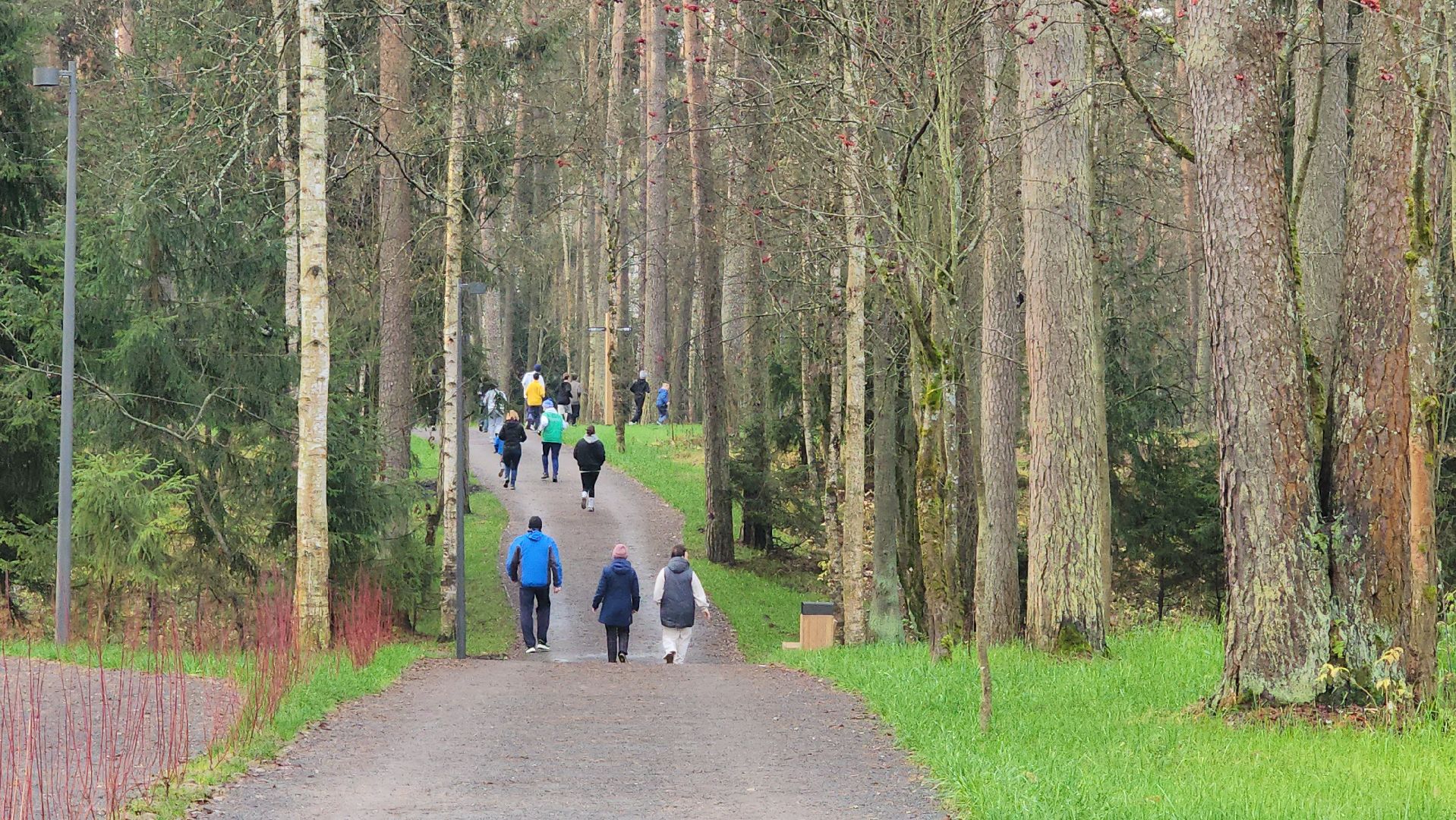 красноармейск, городской округ пушкинский, банный лес, зож, утренняя пробежка,