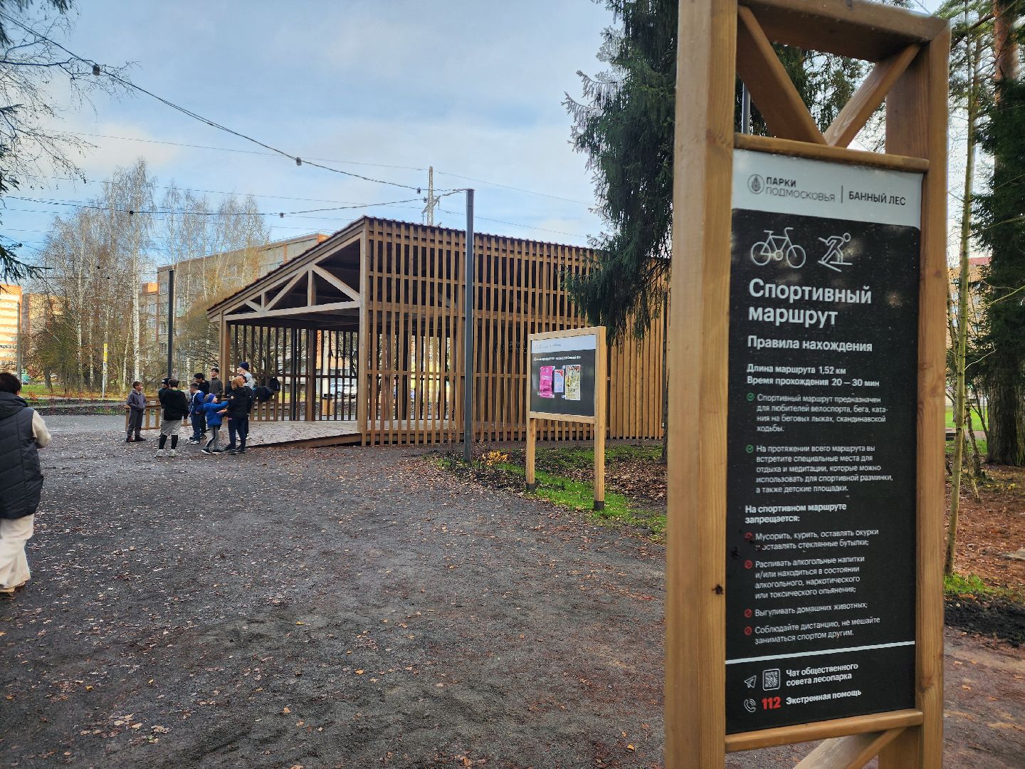 красноармейск, городской округ пушкинский, банный лес, зож, утренняя пробежка,