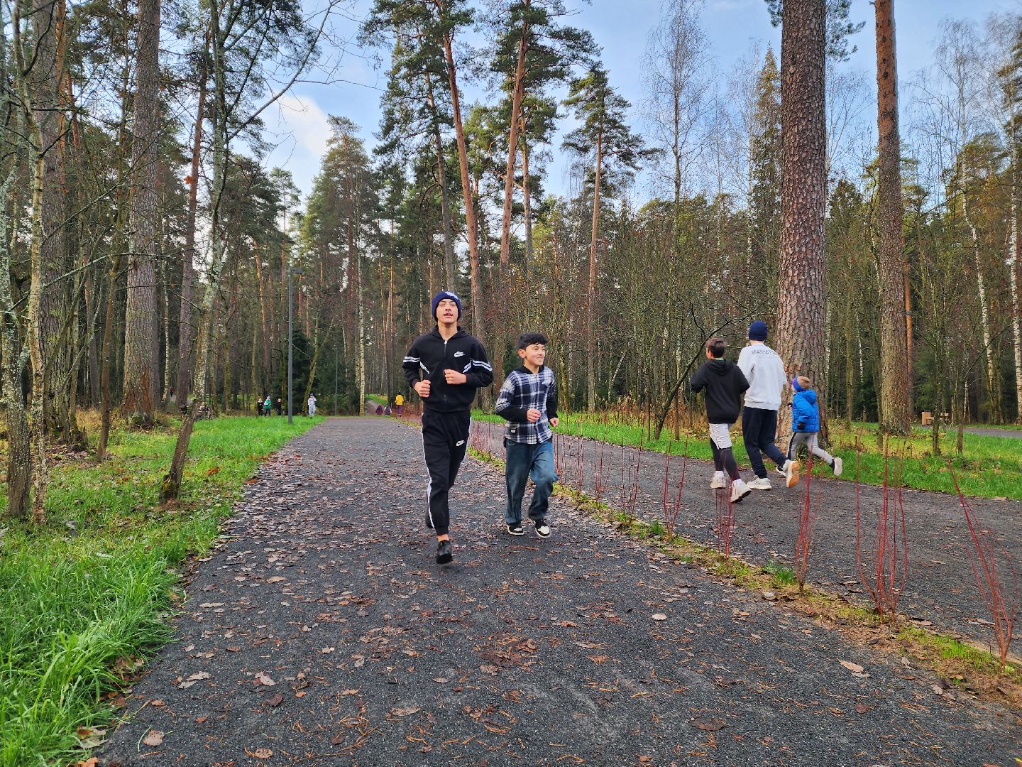 красноармейск, городской округ пушкинский, банный лес, зож, утренняя пробежка,