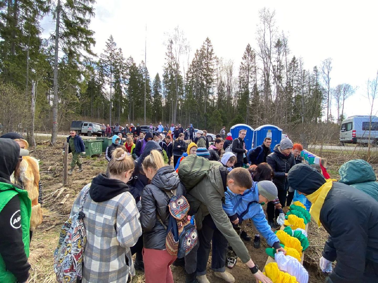 Мытищи, Лес Победы, Экология