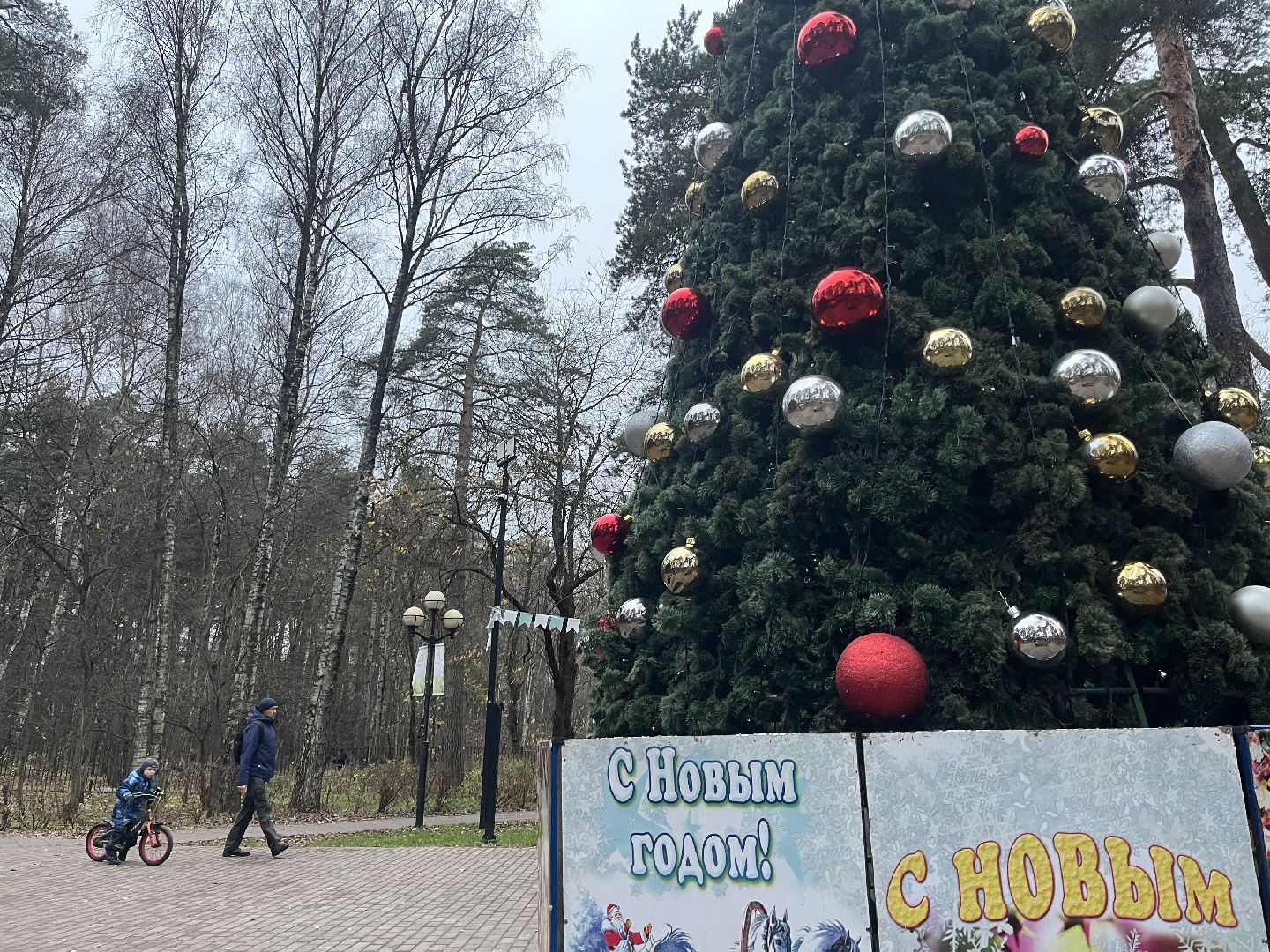 красногорск, ёлка,