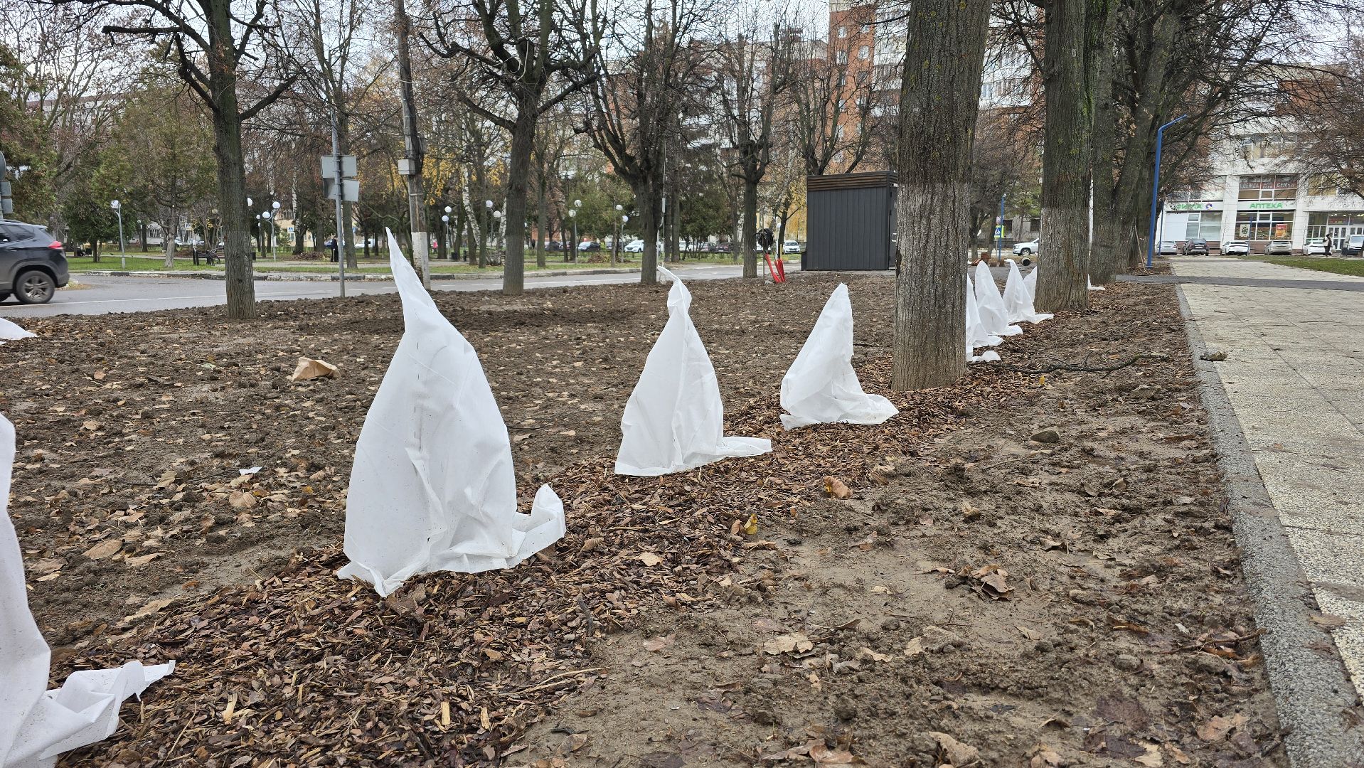 Коломна , благоустройство,