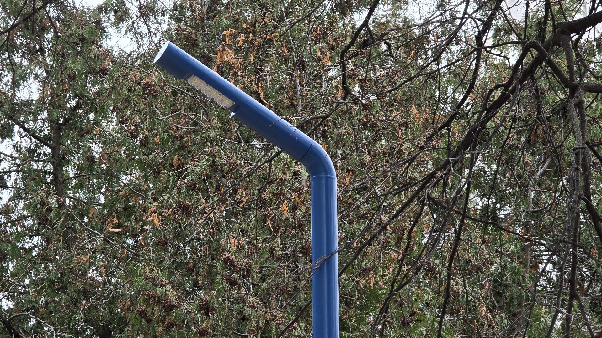 Коломна , благоустройство,