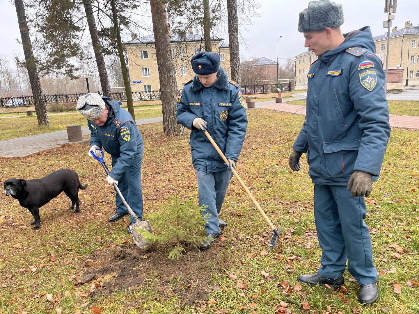 35 лет мчс, мчс россии 35 лет, рошаль мчс,