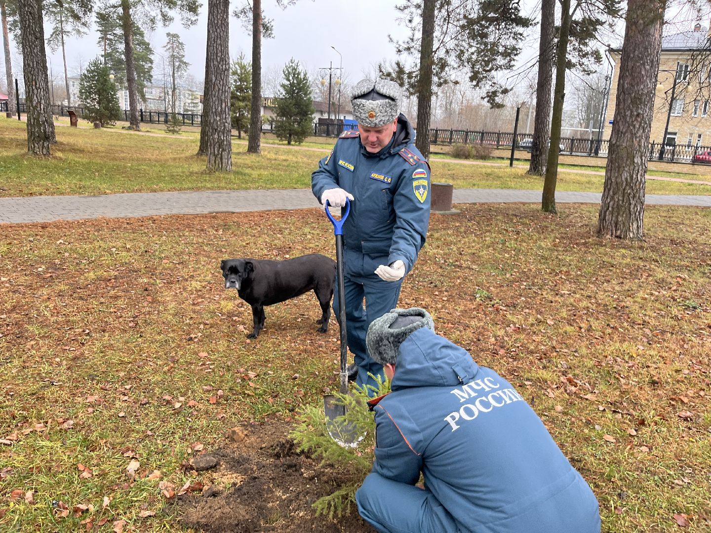 35 лет мчс, мчс россии 35 лет, рошаль мчс,