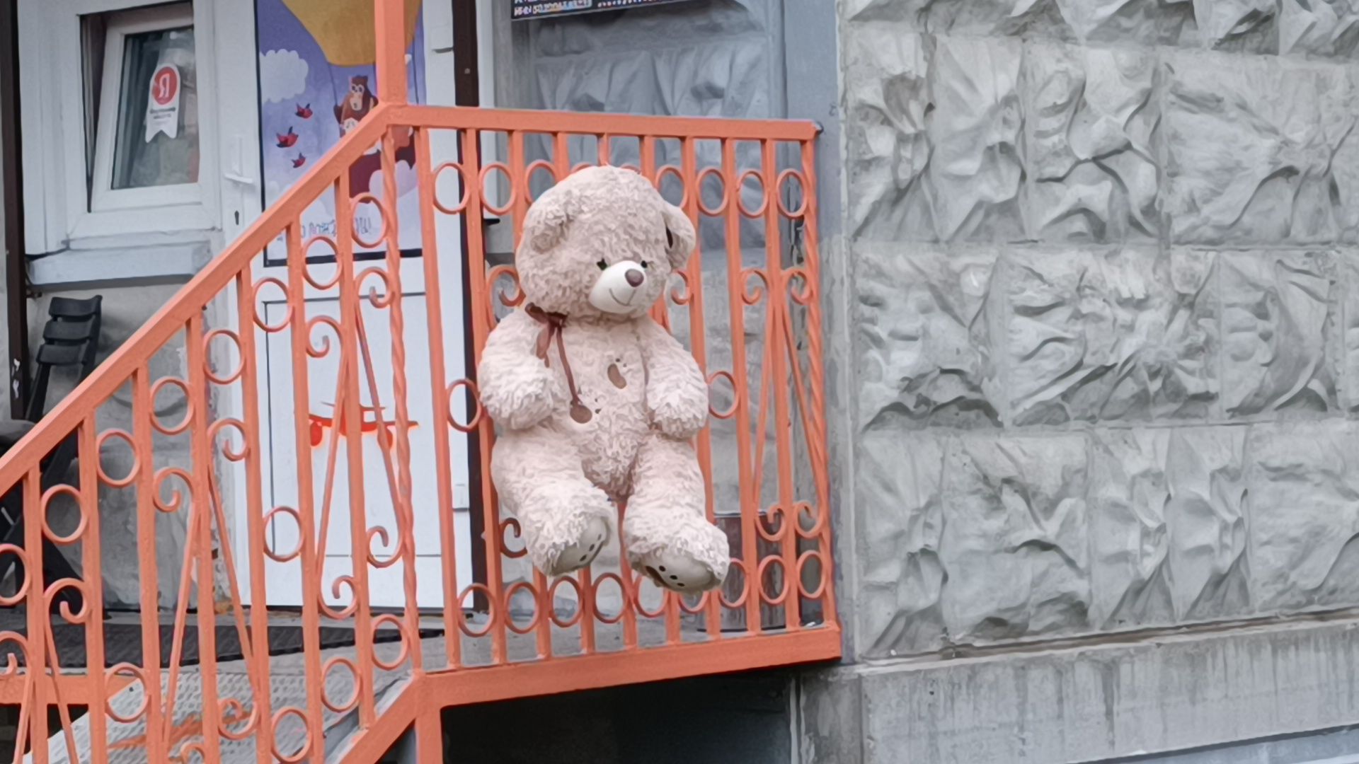 лобня, кофе, овз,