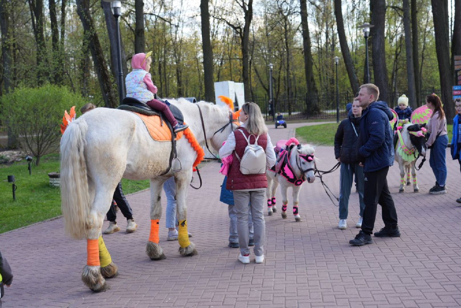 Сергиев Посад, Сергиево-Посадский городской округ, Парки, Скитские пруды, День Победы, 9 мая