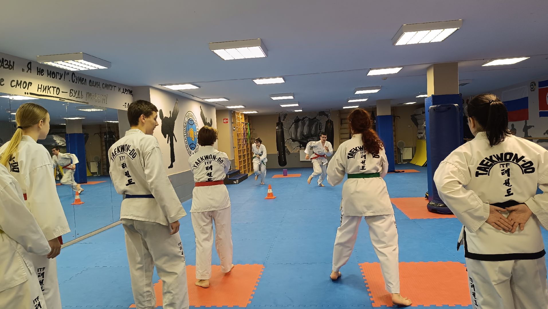 спорт, лобня, тхэквондо,