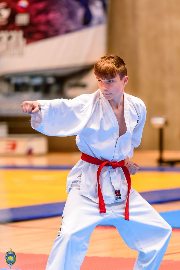 спорт, лобня, тхэквондо,