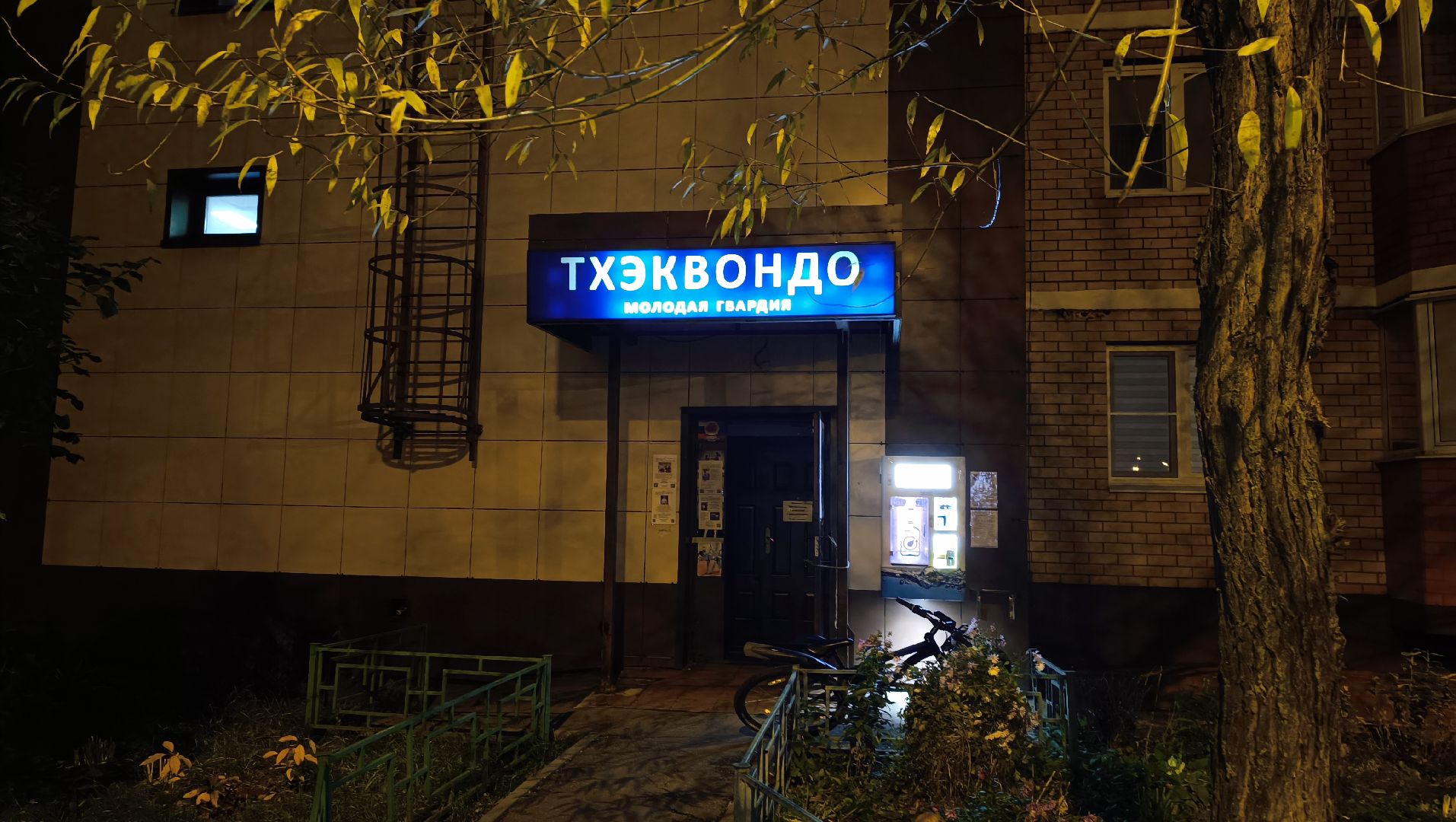 спорт, лобня, тхэквондо,