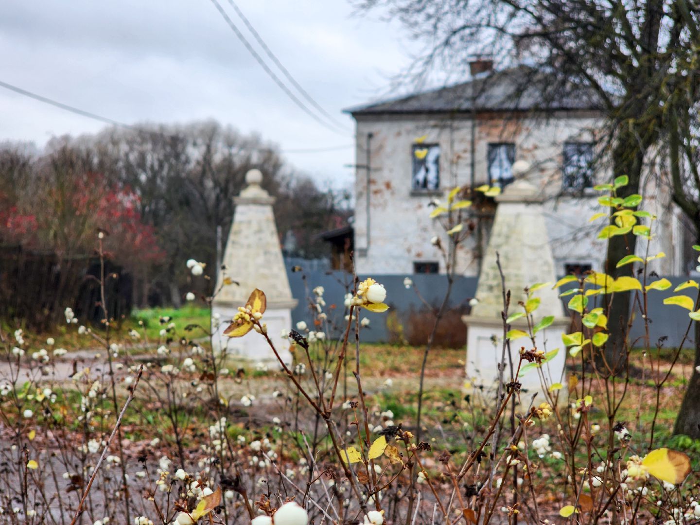 Подольск, Плещеево, Волонтеры, Литературная гостиная,
