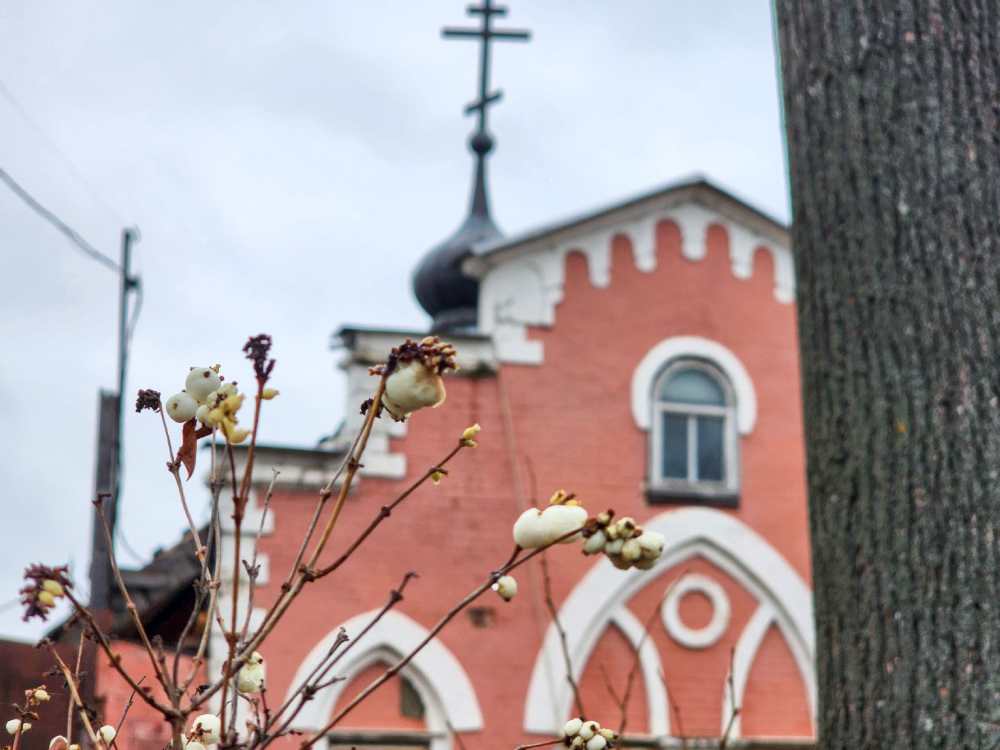 Подольск, Плещеево, Волонтеры, Литературная гостиная,