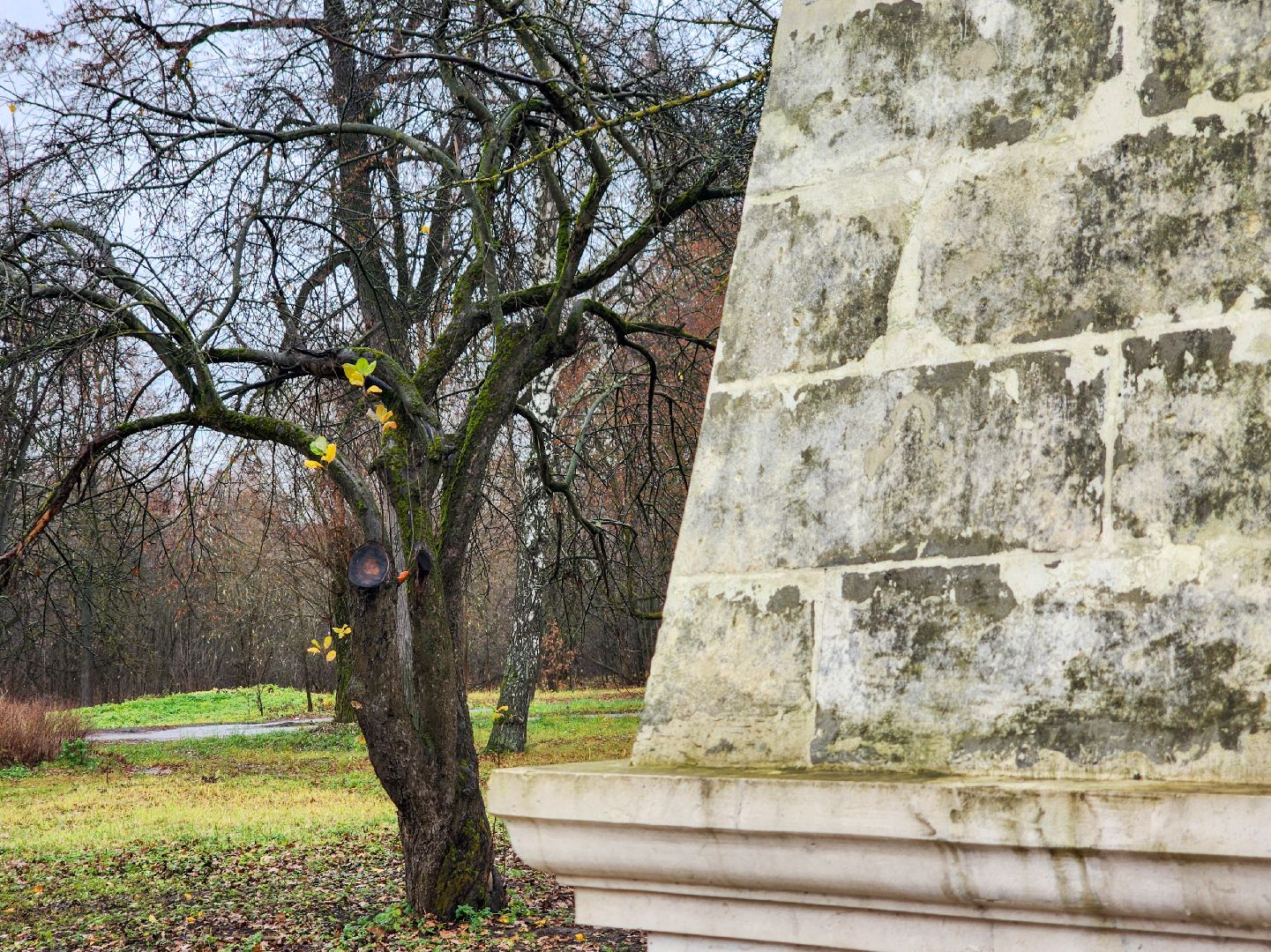 Подольск, Плещеево, Волонтеры, Литературная гостиная,