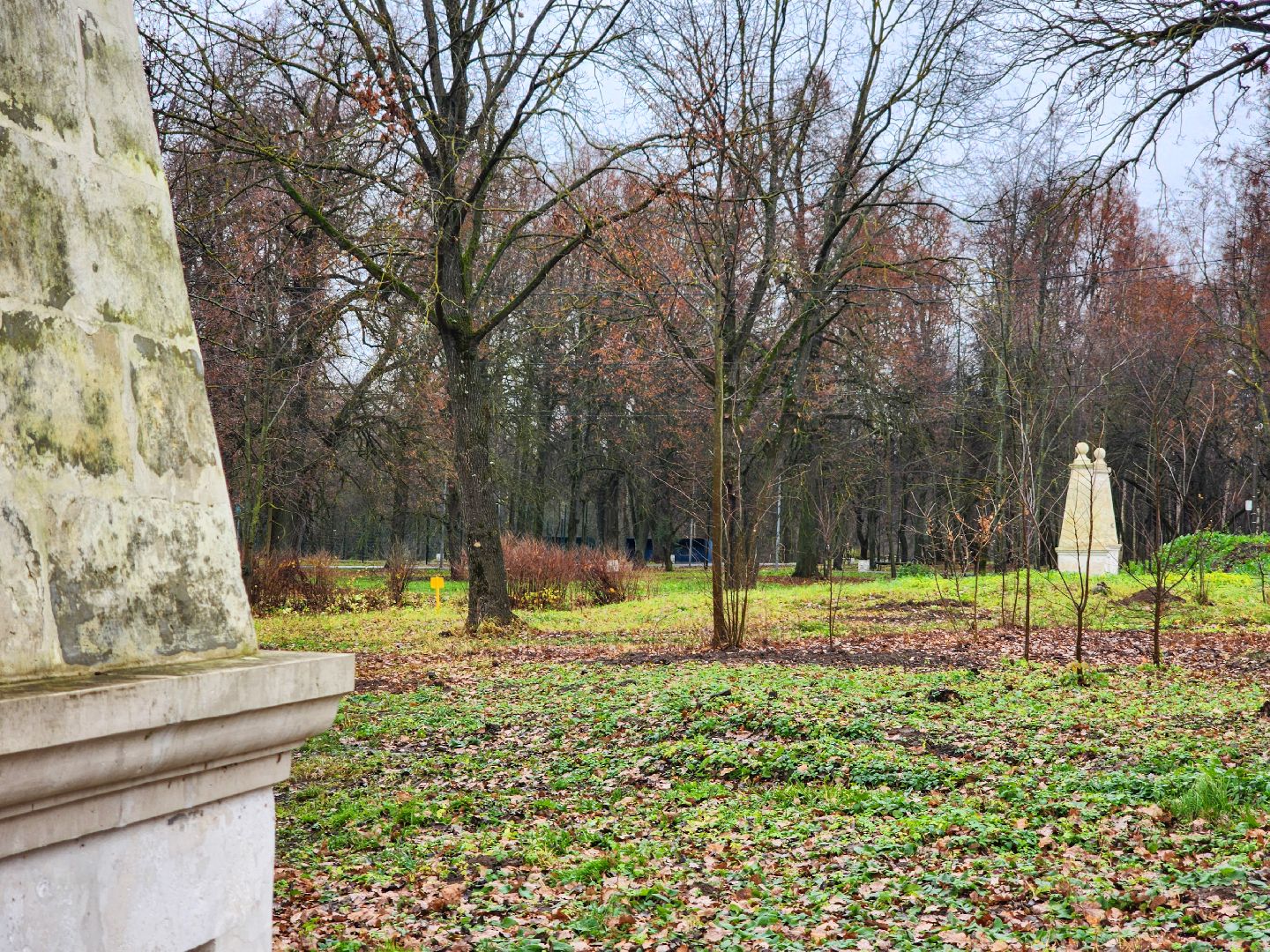 Подольск, Плещеево, Волонтеры, Литературная гостиная,