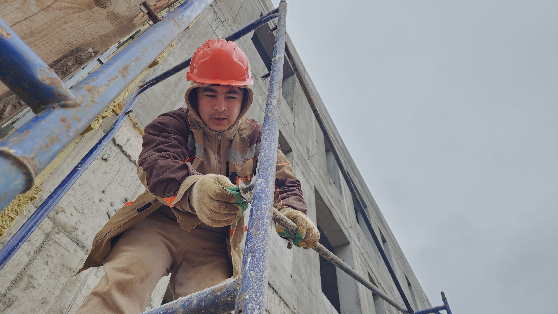 строительство, образование, школа, лосино-петровский,